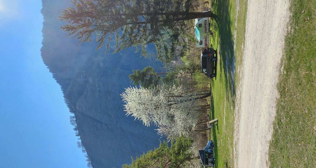 Waldcamping.ch (Stop & Go Angebot täglich 18h-9h) (pns_295a5aacedee0bb3774145b4e00ef52c) Waldcamping.ch (Stop & Go Angebot täglich 18h-9h) (pns_295a5aacedee0bb3774145b4e00ef52c)