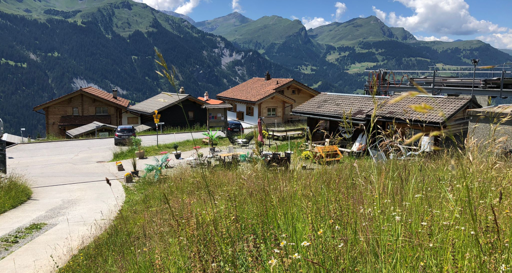 Parkplatz Sportbahnen Hochwang (pns_b9996a9cba7d4caf1387c2faa409ffa2) Parkplatz Sportbahnen Hochwang (pns_b9996a9cba7d4caf1387c2faa409ffa2)