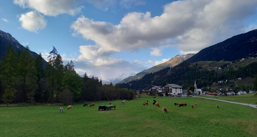 Zops Sommer (pns_fcfda66264f70f23000e3402ffe255ec) Zops Sommer (pns_fcfda66264f70f23000e3402ffe255ec)