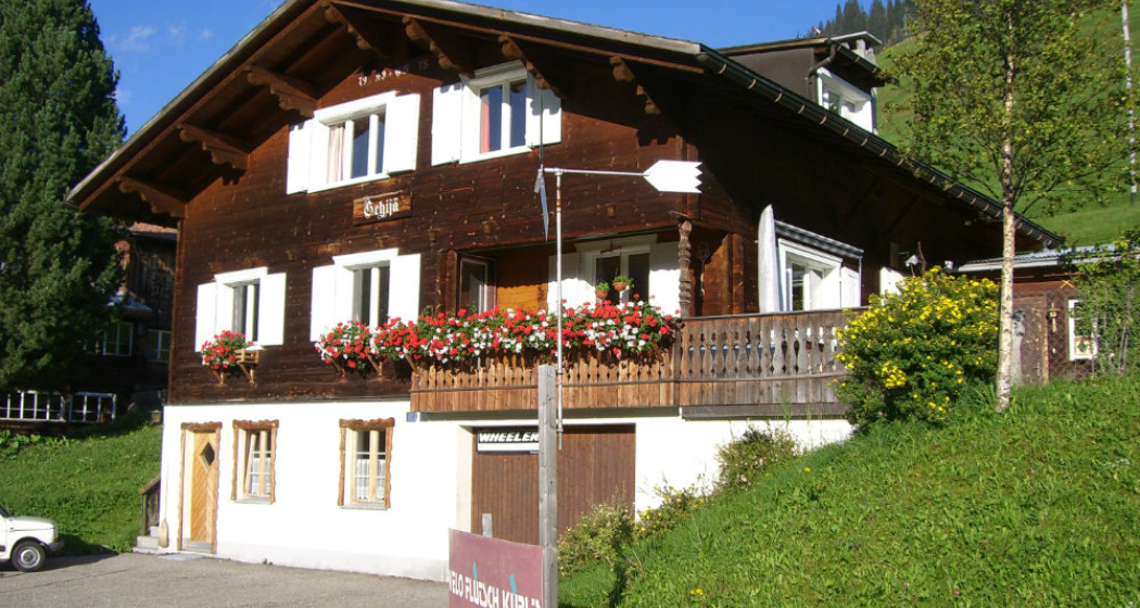 Studio Schija Aussen Sommer