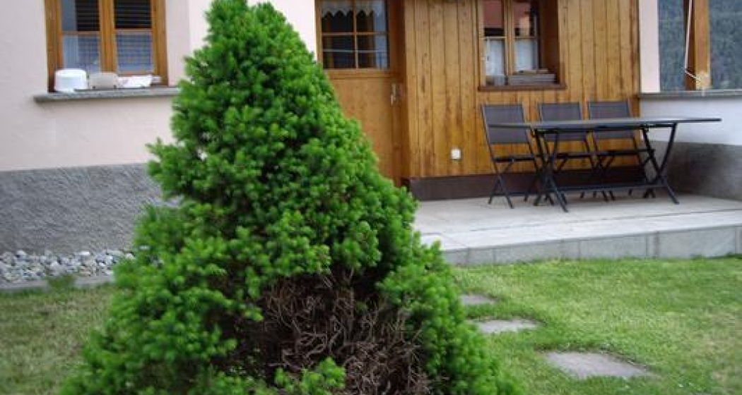 Ferienhaus Chasa Corgnuns (tom_tds00020010507211089_image)