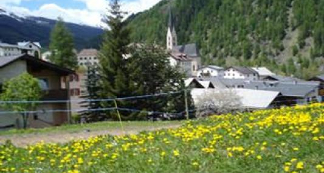 Ferienwohnung Chasa Curtins/Sulai (tom_tds00020010507553089_image)