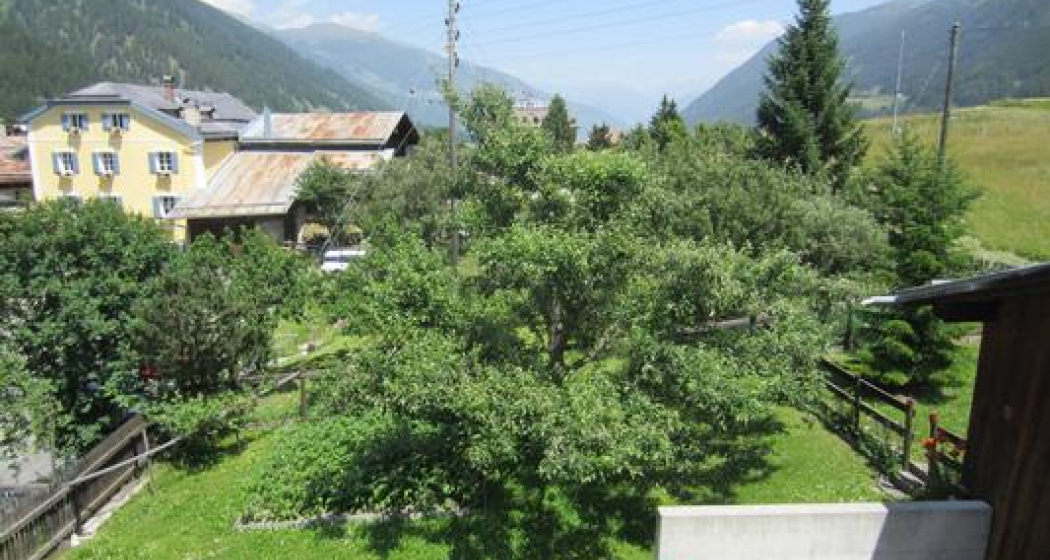 Garten Sommer Garten Sommer