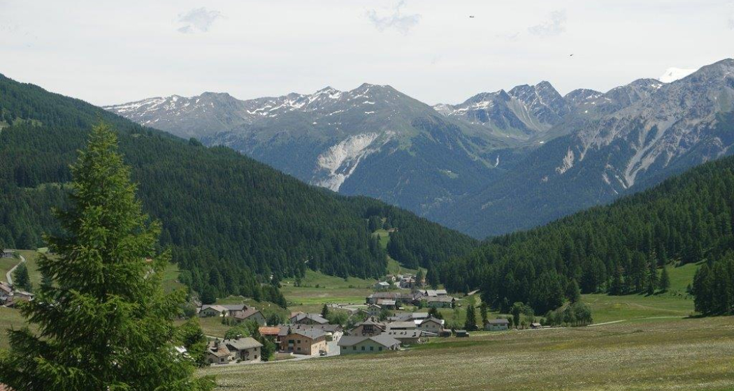 Ferienwohnung Chasa Müfaits Parterre (tom_tds00020010756662807_image)