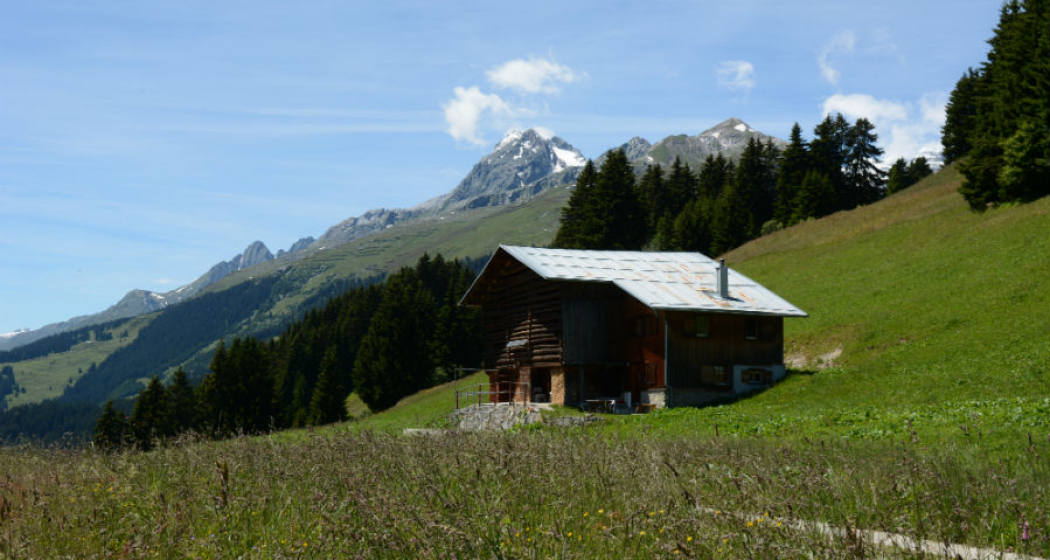Plumarscha, Brigels, Friberg, Aussenansicht