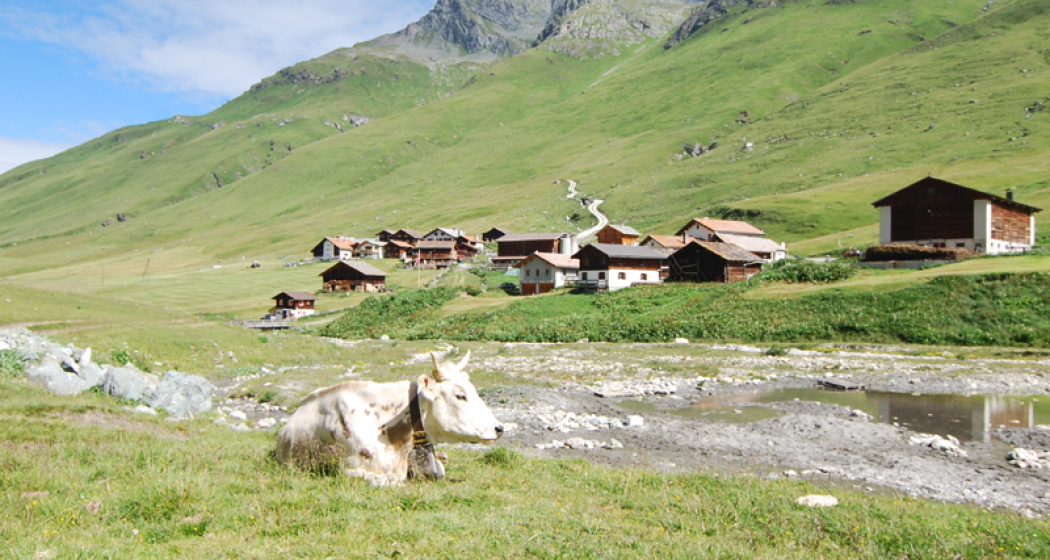 Sicht auf das Dorf Juf