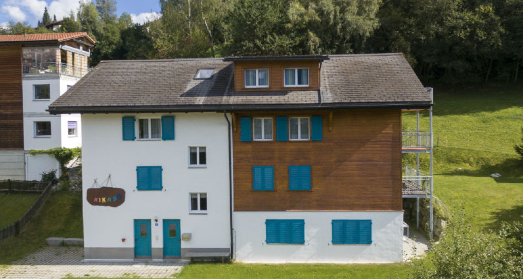 Ferienwohnung Mikado Hofland - Ansicht Sommer