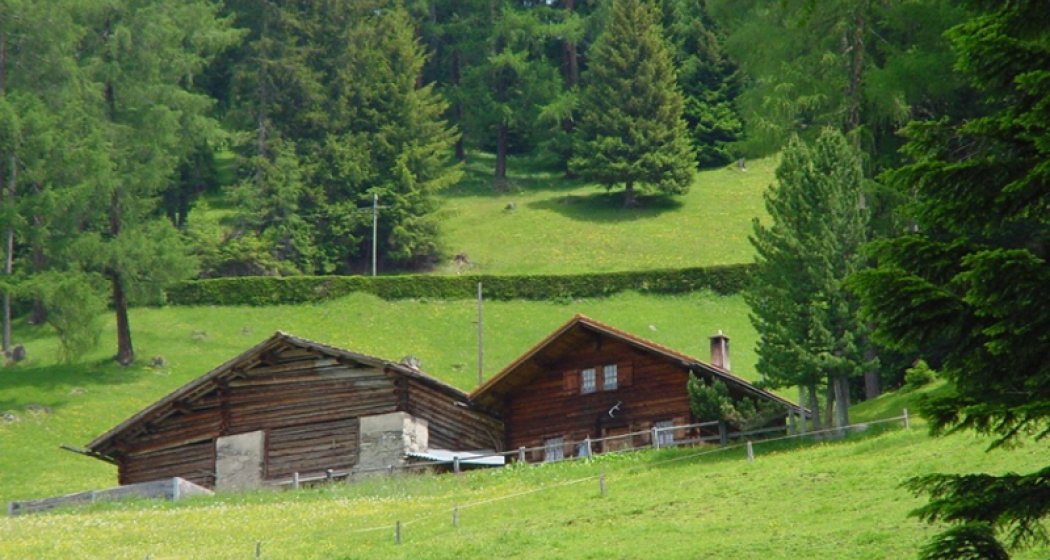 Aussenansicht Aussenansicht