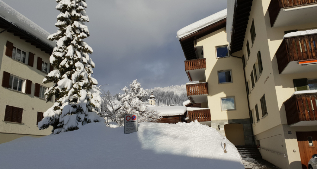 Quadra / Masé-Goldberg (tom_tds00020012116082116_image)