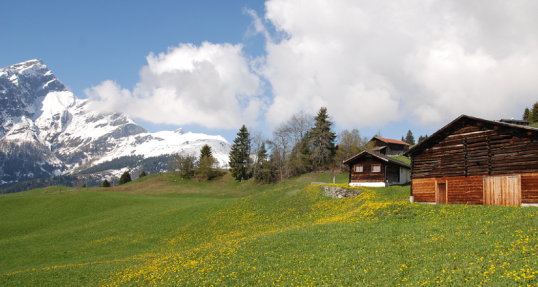 Maiensäss Casaritsch (tom_tds00020012215619712_image) Maiensäss Casaritsch (tom_tds00020012215619712_image)