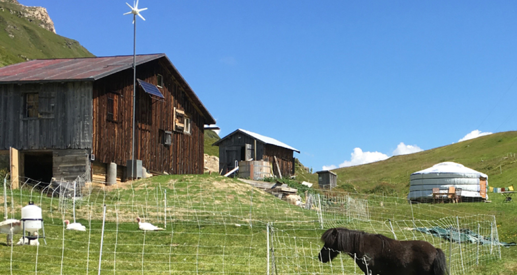 Maiensäss Mongolische Jurte Heinz (tom_tds00020012231252777_image) Maiensäss Mongolische Jurte Heinz (tom_tds00020012231252777_image)