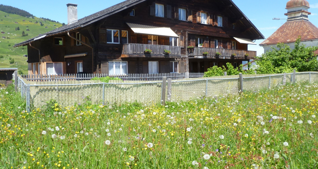 Ferienwohnung Crestas 55 - Ansicht Sommer