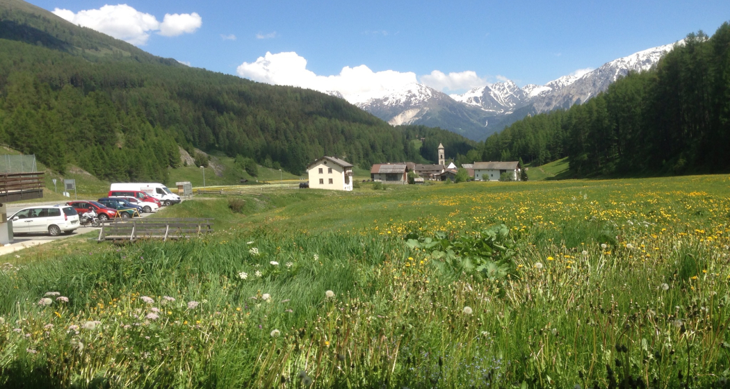 Ferienwohnung Clüs (tom_tds00020012477307504_image) Ferienwohnung Clüs (tom_tds00020012477307504_image)