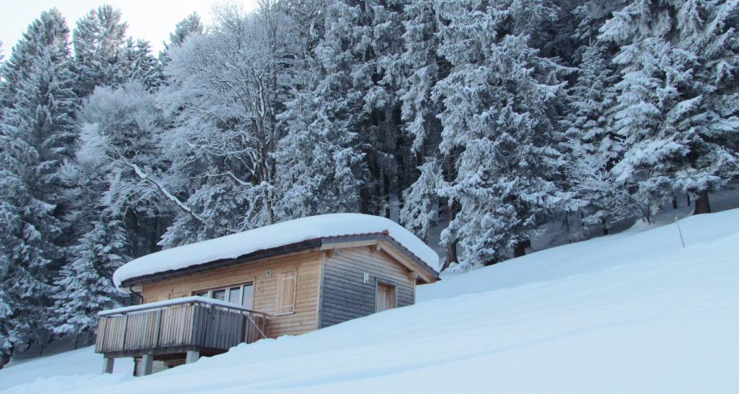 Mittleres Waldwiesli (tom_tds00020012542669521_image)