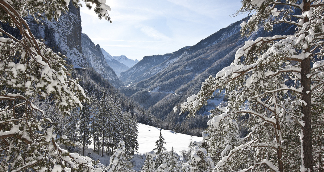 Apart Garni DOLCE VITA (tom_tds00020010563582521_image) Apart Garni DOLCE VITA (tom_tds00020010563582521_image)