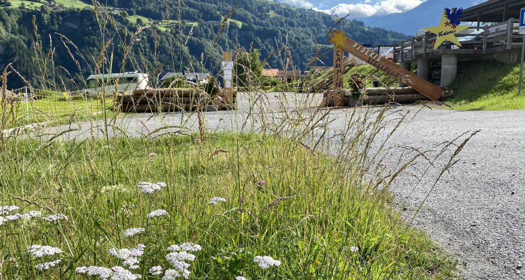 Camping Fideris - Eingang Camping Fideris - Eingang