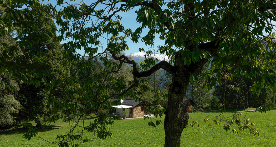 Holzerheim freistehend