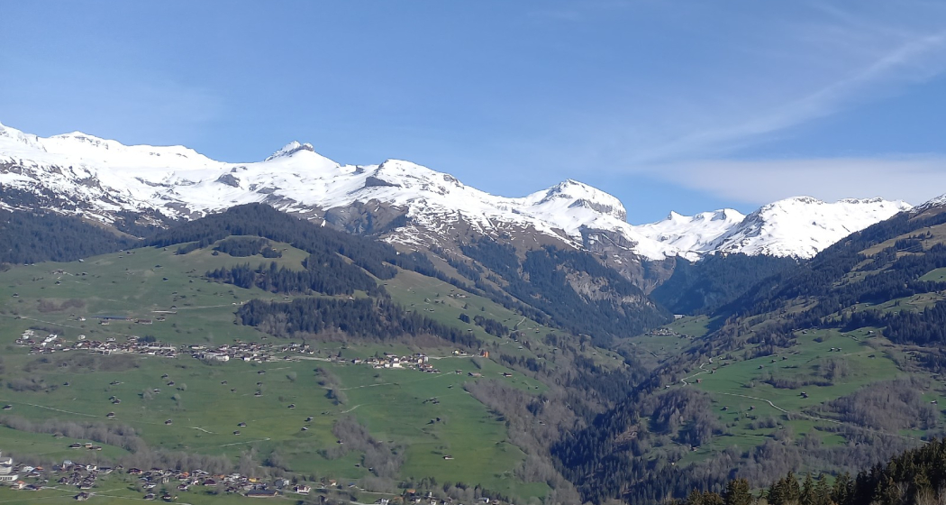 Ferienwohnung Seraina, Obersaxen, Valata - Ansicht Sommer
