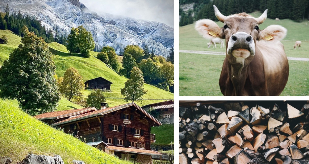 Pure Bündner Bergferien