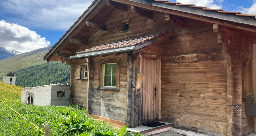Chalet Capetta - 3 1/2 Zimmer-Wohnung mit Balkon/Garten (tom_tds00020013715908497_image)