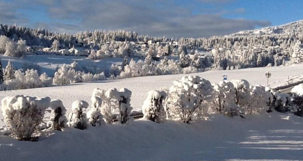 Casa Marcau (tom_tds00020014079282393_image)