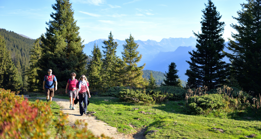 Wanderwege Brambrüesch - Pradaschier Wanderwege Brambrüesch - Pradaschier