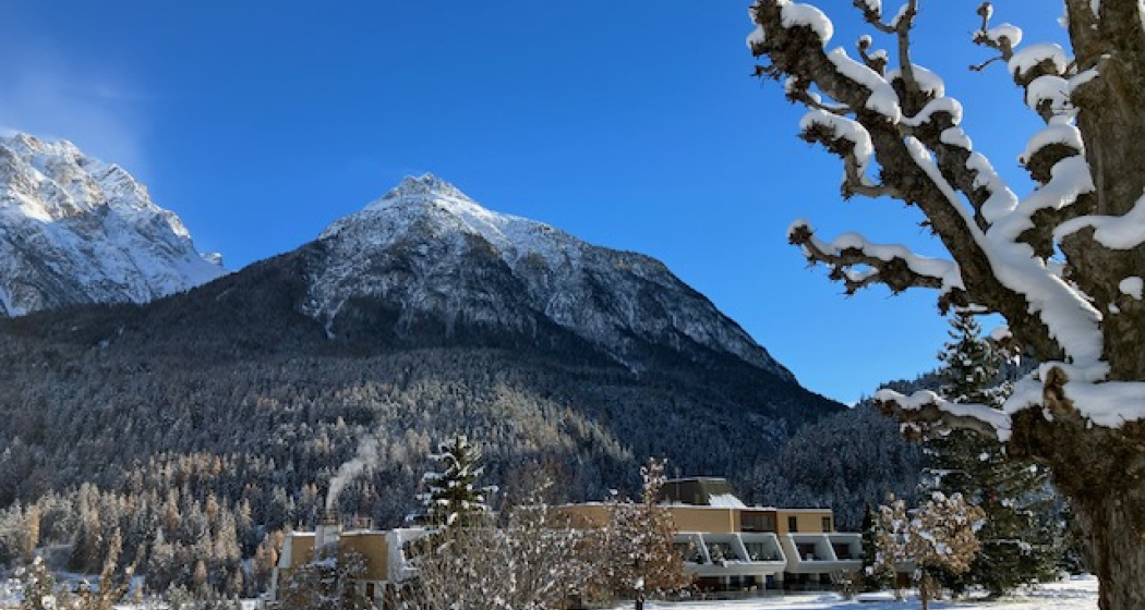 Tulai F81 (tom_tds00020014571159382_image) Tulai F81 (tom_tds00020014571159382_image)