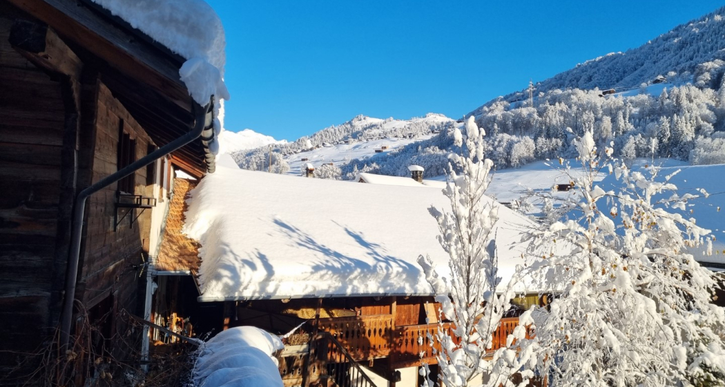 Blick aus dem Fenster