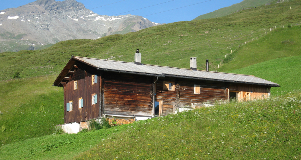 Ferienhaus Büel - Camana - Ansicht Sommer