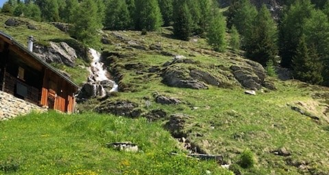 Aussenansicht Aussenansicht