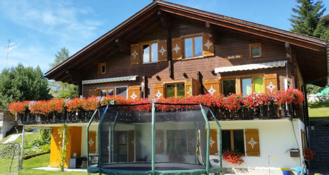 Ferienwohnung Schweizer - Ansicht Sommer