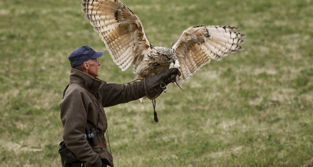 Ferientipp mit Uhu «Bubo» Ferientipp mit Uhu «Bubo»