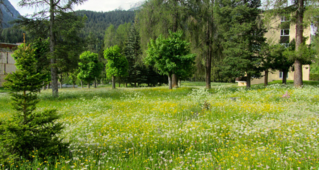 Ferienwohnung Brentsch Park (tom_tds00020014912250402_image) Ferienwohnung Brentsch Park (tom_tds00020014912250402_image)