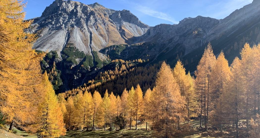 Val Mora im Herbst Val Mora im Herbst