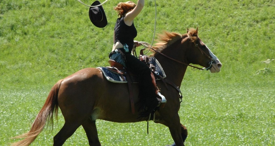 Westernreiten Westernreiten