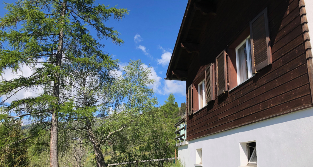 Ferienhaus Padrus - Ansicht Sommer