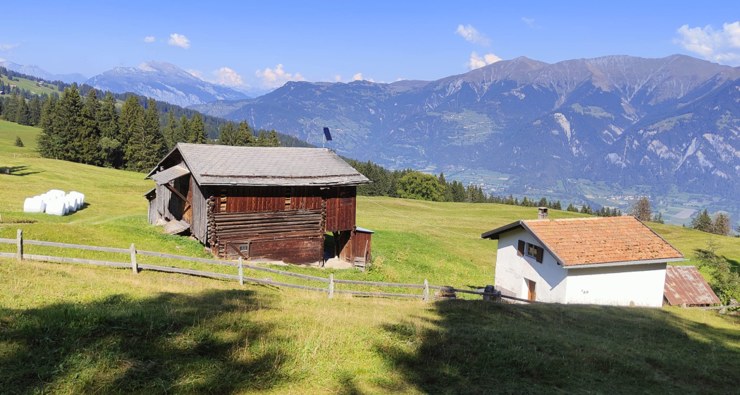 Maiensäss Sanestris (weiss) mit Stall Maiensäss Sanestris (weiss) mit Stall