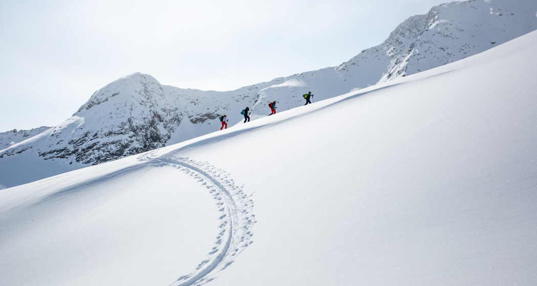 Skitour Rheinwald Skitour Rheinwald