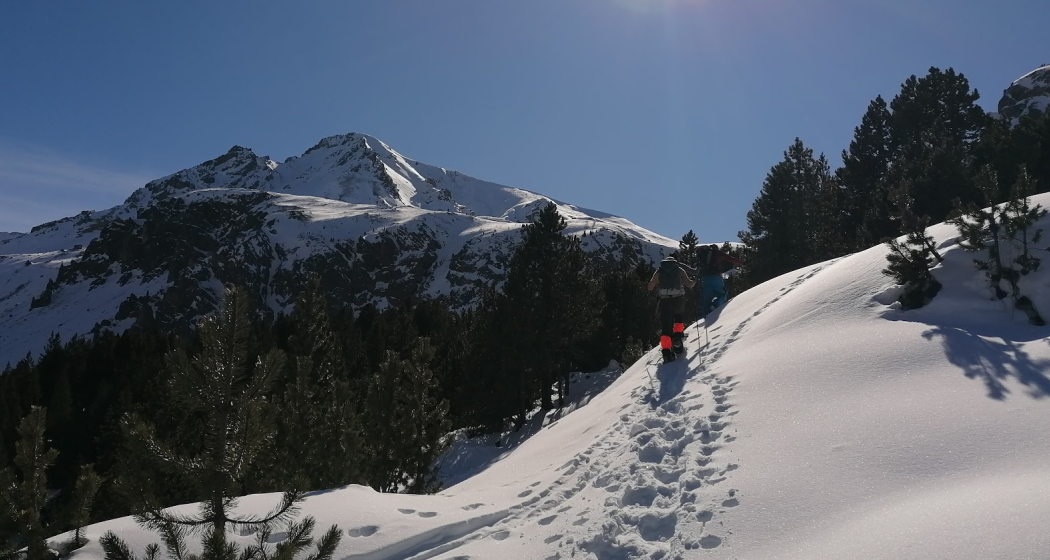 Schneeschuhwandern auf dem Ofenpass