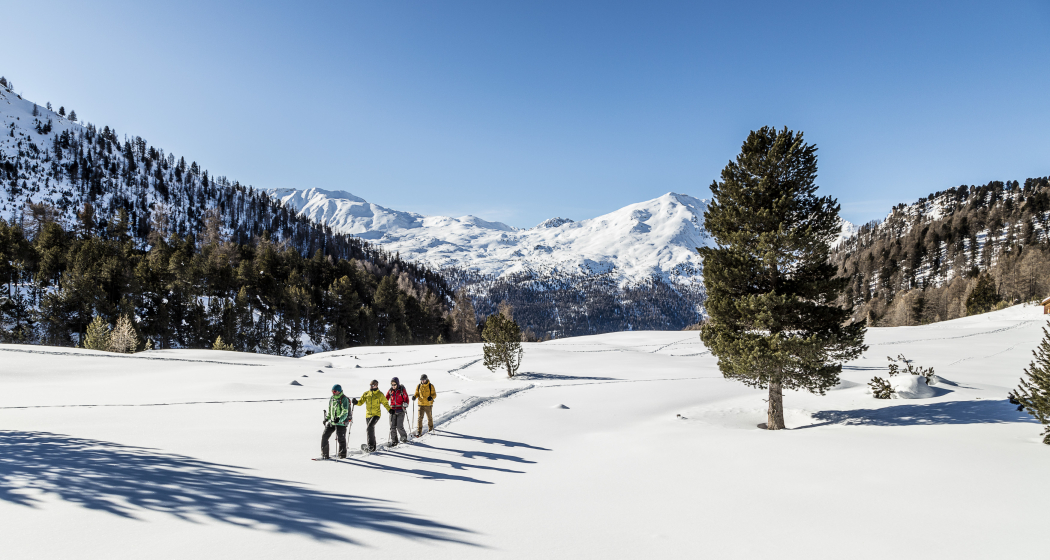 Schneeschuhwanderung Zernez Schneeschuhwanderung Zernez