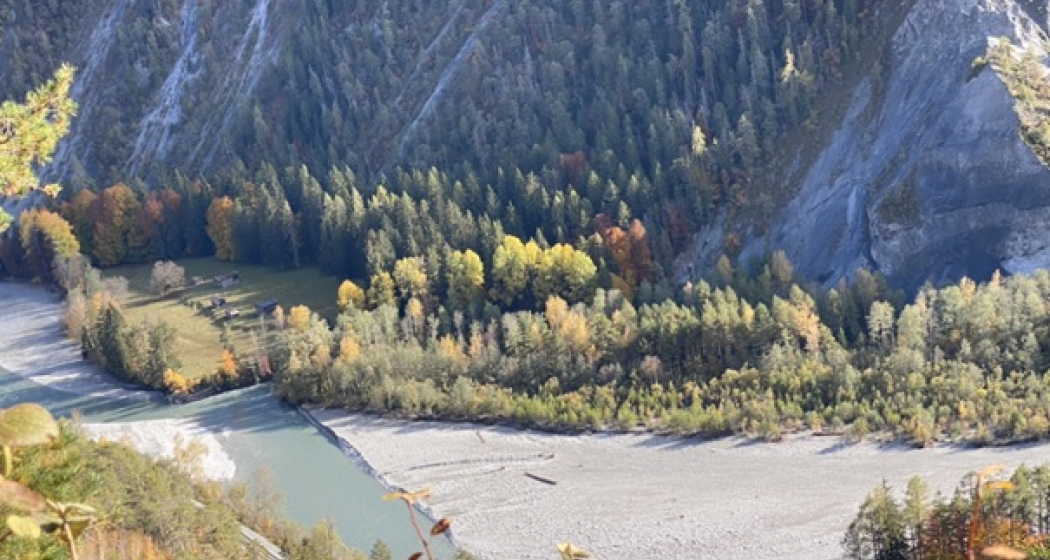 Laax in autumn (river Rhein)
