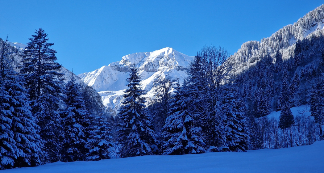 Blick auf den Foostock