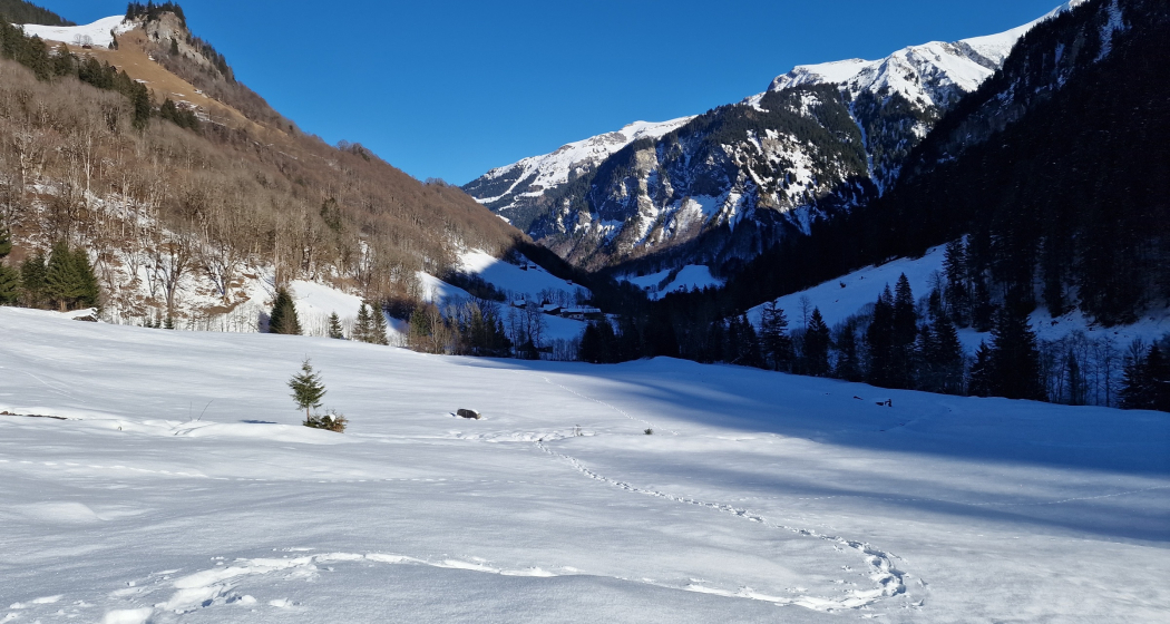 Blick ins Weisstannental