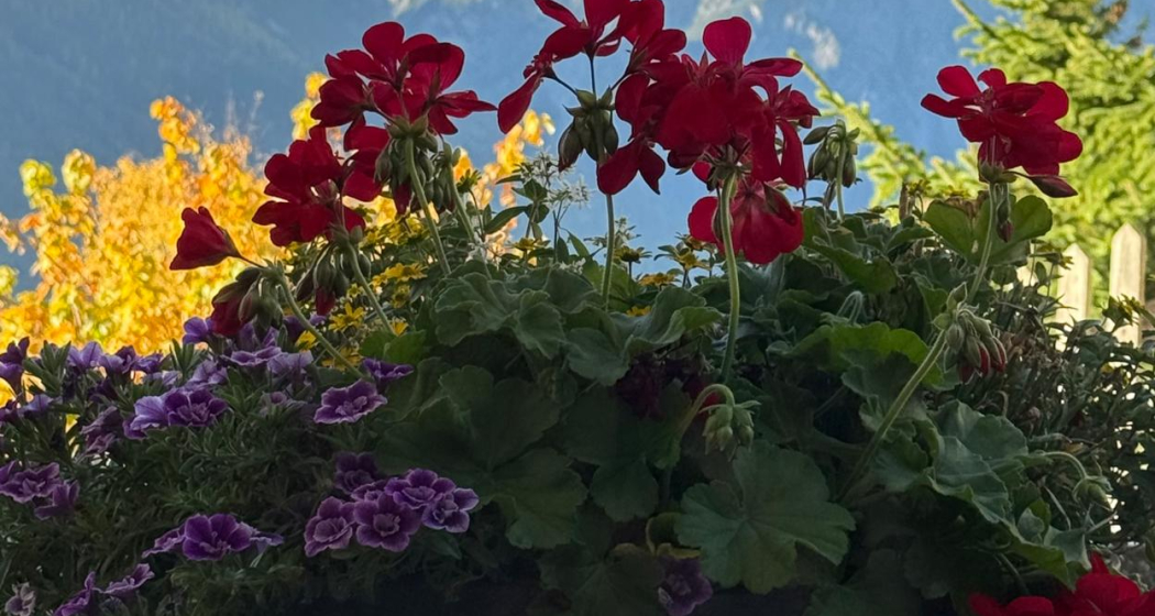 Ferienwohnung - Berge Ferienwohnung - Berge