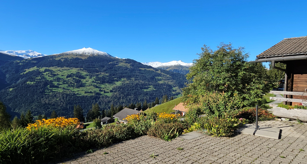 Chalet Raggälia (tom_tds00020015983835625_image)