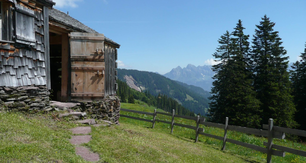 Mulchenhütte (ctd_24428522-2732-491a-981c-a08c8f54cf65_image)