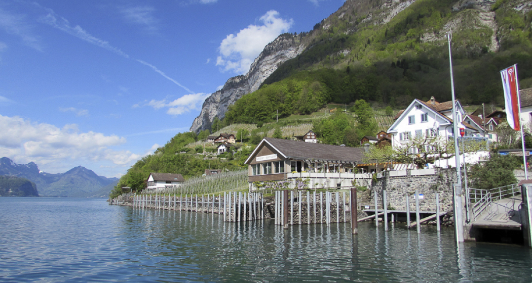 Restaurant Schifflände (ctd_2e167736-dc78-4262-878d-80929bc94753_image)