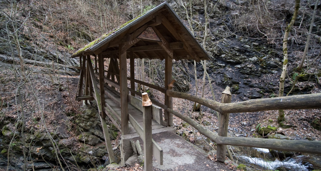 Wasserfall Grossbach Wangs (ctd_416530a2-ed6c-4100-81c8-308794e4c0c9_image)