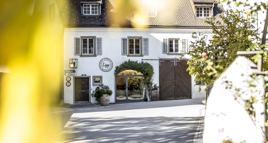 Lipp Weingut & Destillerie (ctd_45005140-0670-434e-9b87-02580f1e128b_img01) Lipp Weingut & Destillerie (ctd_45005140-0670-434e-9b87-02580f1e128b_img01)