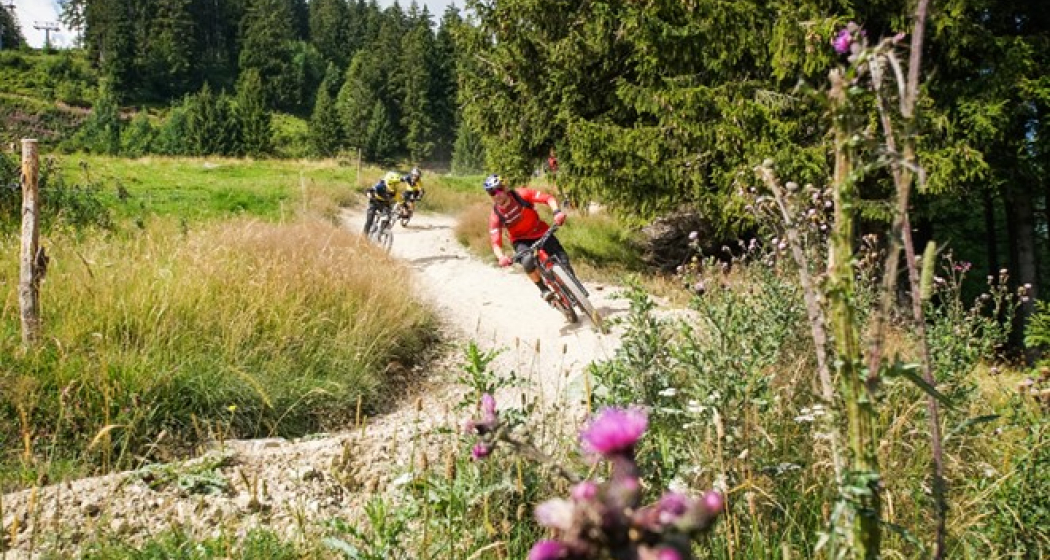 BikerSchool Flumserberg (ctd_50386ea5-245b-4b3d-bb3a-de7edbb8e1fd_img01) BikerSchool Flumserberg (ctd_50386ea5-245b-4b3d-bb3a-de7edbb8e1fd_img01)